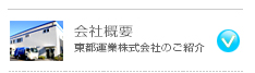 ЊTv